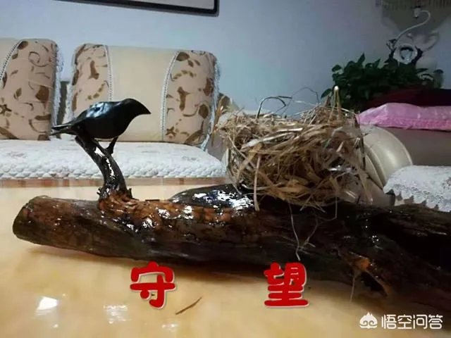 海军70周年庆给你带来什么感受？