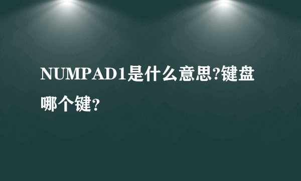 NUMPAD1是什么意思?键盘哪个键？