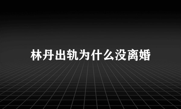 林丹出轨为什么没离婚