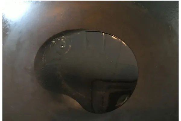 海龙的食用方法