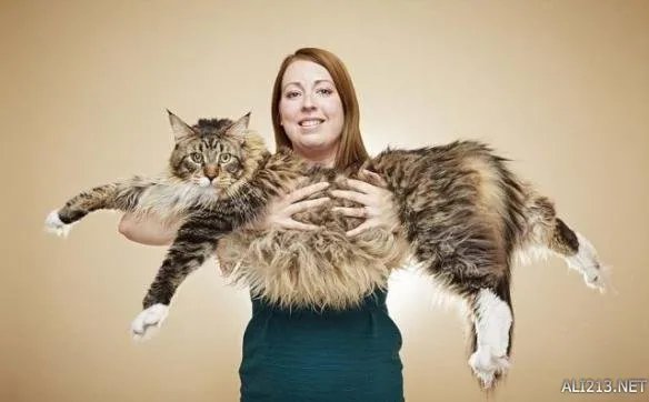 2017吉尼斯世界纪录大全精选 各种奇葩的世界之最！