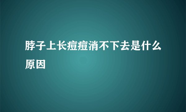 脖子上长痘痘消不下去是什么原因
