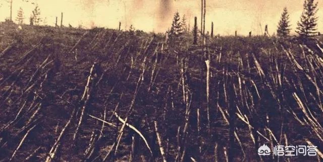 什么是通古斯事件？为什么会发生大爆炸？