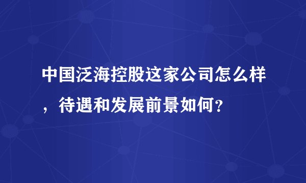 中国泛海控股这家公司怎么样，待遇和发展前景如何？