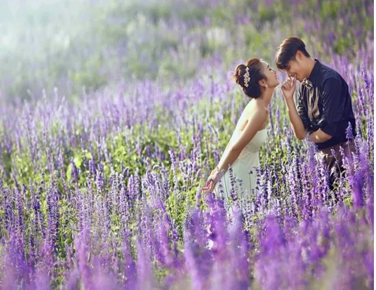 绵阳香草园好玩吗？