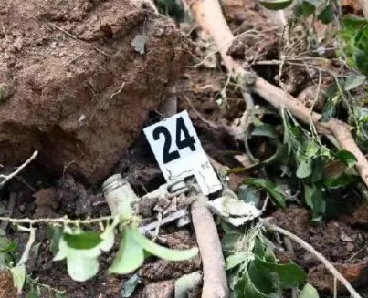 东航一架波音737客机在广西藤县坠毁，民航客机一般寿命多久？