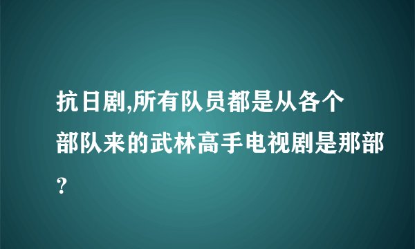 抗日剧,所有队员都是从各个部队来的武林高手电视剧是那部？