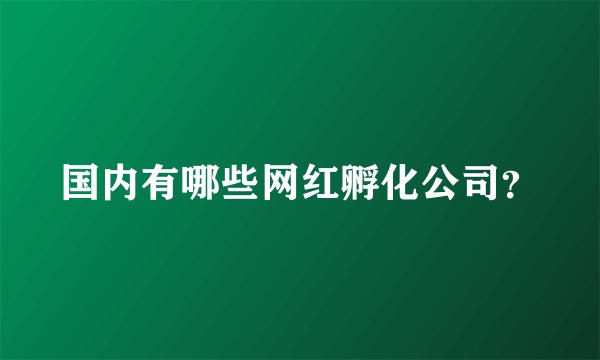 国内有哪些网红孵化公司？