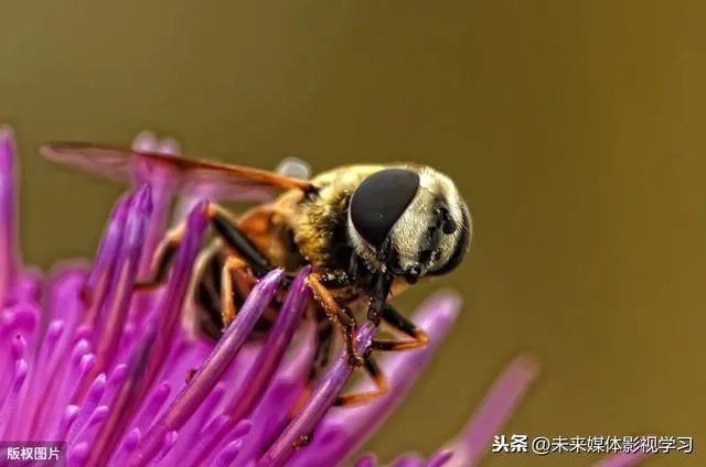 产品摄影怎么拍摄？