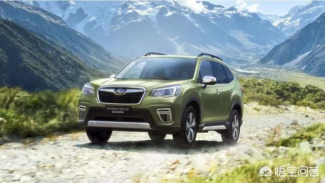 斯巴鲁森林人？