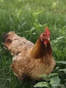 怎样做生意好？