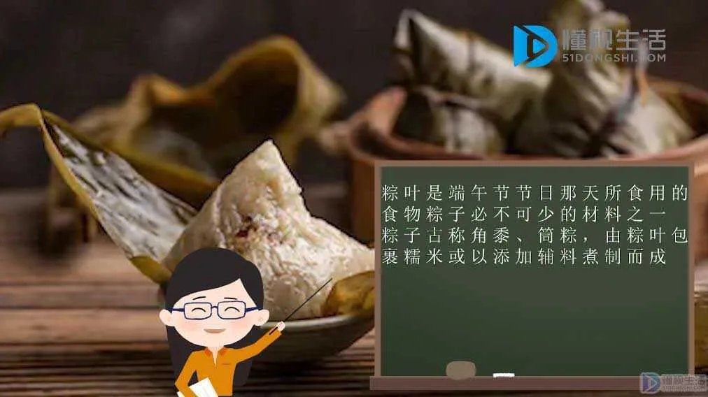 粽叶是什么叶子