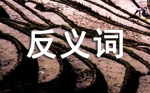 勉强的反义词是什么