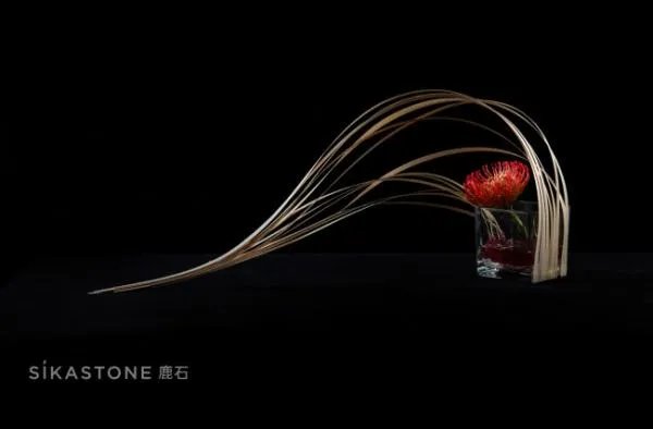 专业的花艺培训学校有么？我想学习一下插花