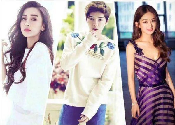 袁立上演员的诞生15分钟赚一百万，明星片酬一般是多少？