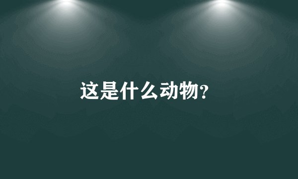这是什么动物？