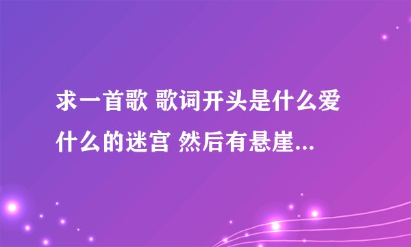 求一首歌 歌词开头是什么爱 什么的迷宫 然后有悬崖 还有什么花