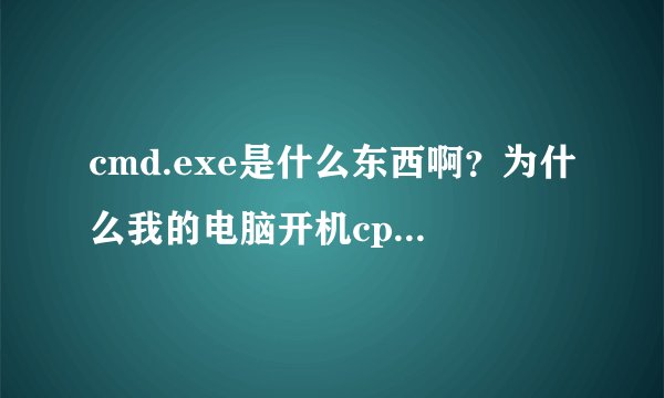 cmd.exe是什么东西啊？为什么我的电脑开机cpu就是100%啊，就是cmd占的啊，如何解决啊？