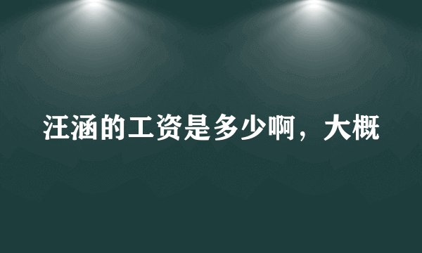 汪涵的工资是多少啊，大概