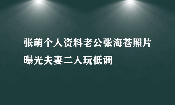 张萌个人资料老公张海苍照片曝光夫妻二人玩低调