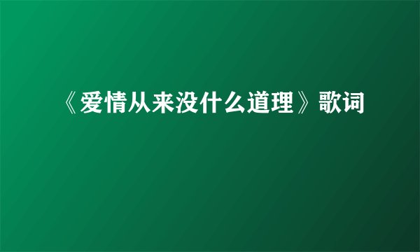 《爱情从来没什么道理》歌词