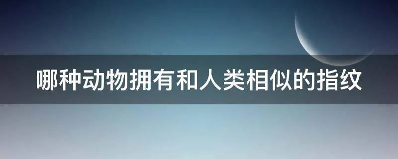 哪种动物拥有和人类相似的指纹