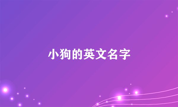 小狗的英文名字