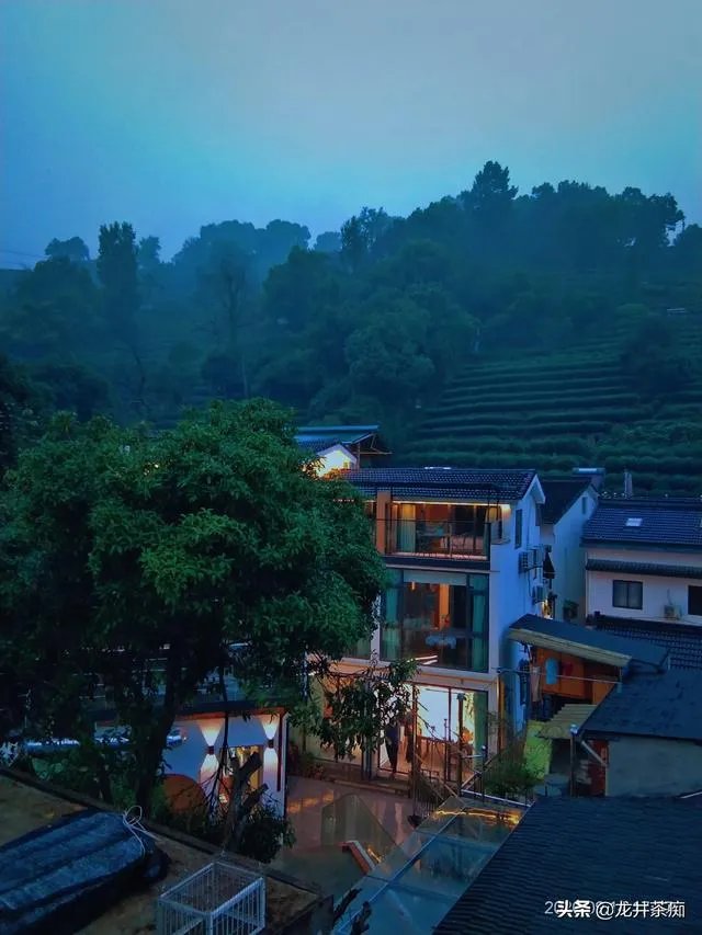 茶叶店熬一熬真的能好了吗?未来发展如何?