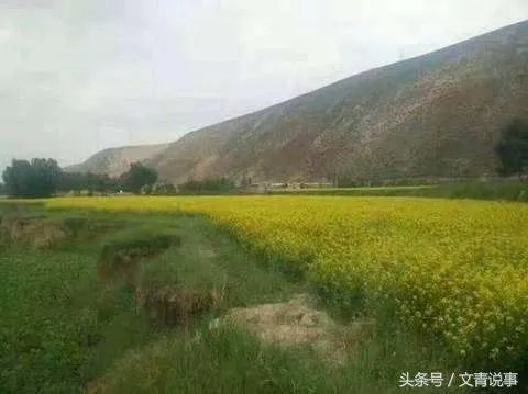 诸葛亮为什么躬耕隐居河南南阳卧龙岗?