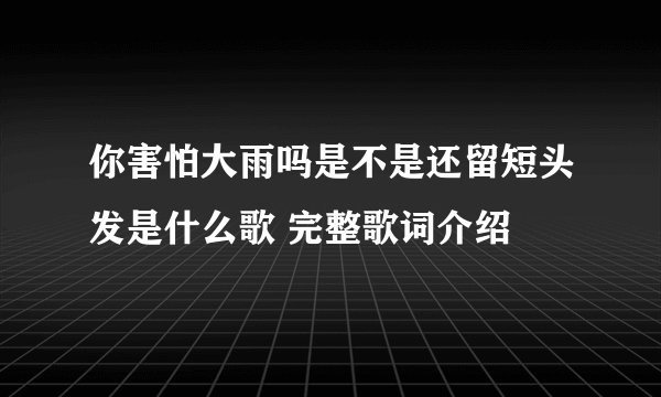 你害怕大雨吗是不是还留短头发是什么歌 完整歌词介绍