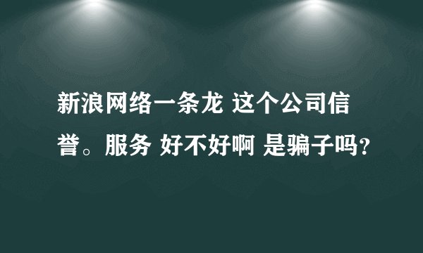 新浪网络一条龙 这个公司信誉。服务 好不好啊 是骗子吗？