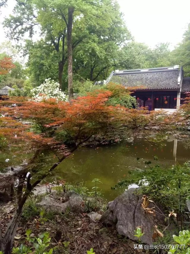 撕开美女衣服最新版