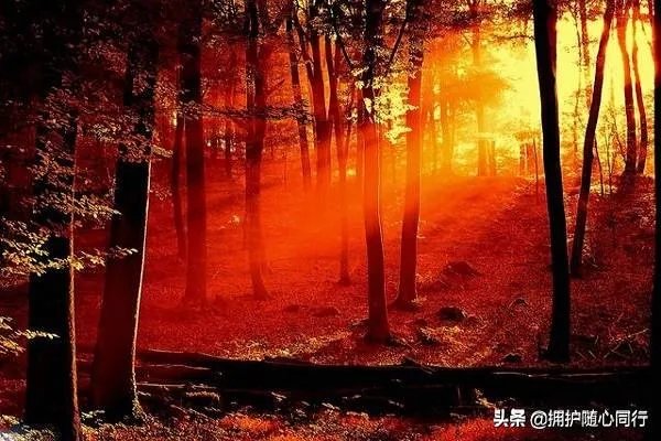 五月二十号发什么说说好？