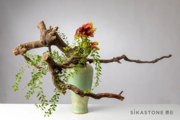 专业的花艺培训学校有么？我想学习一下插花