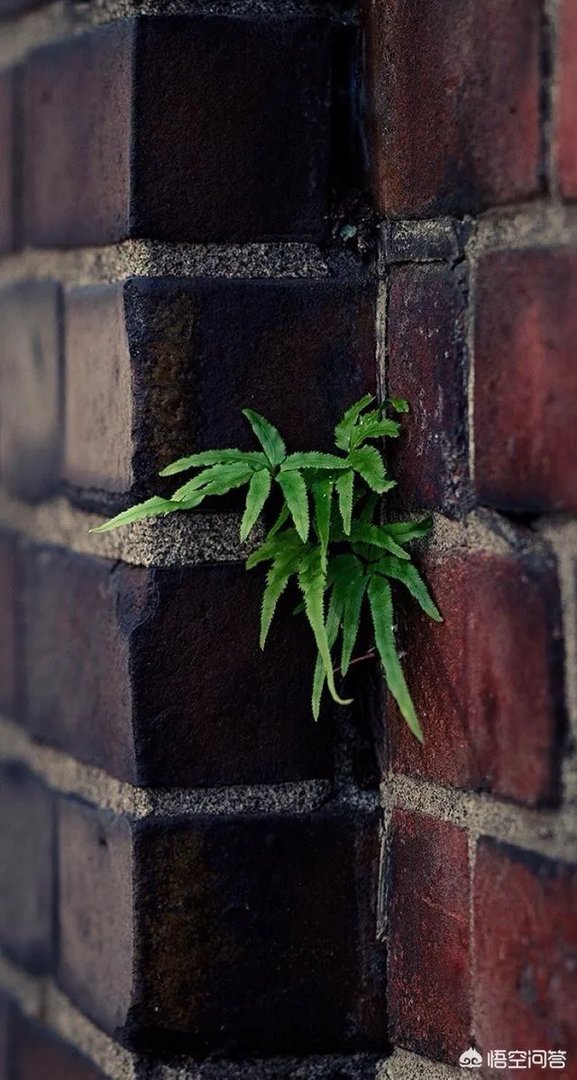 大学生在大学期间应该如何与周围的人相处？