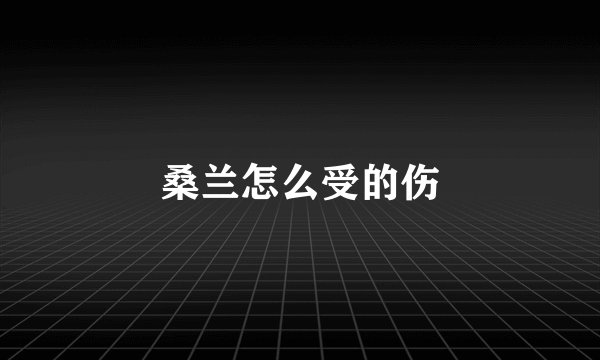 桑兰怎么受的伤