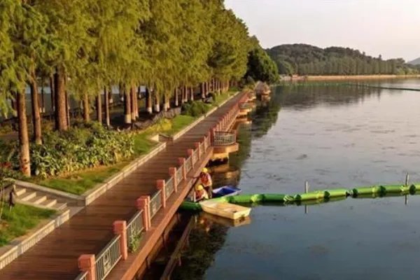 武汉东湖水下森林你见过吗？是怎样的景貌