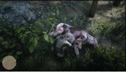 《荒野大镖客2》传说动物怎么狩猎 狩猎传说动物攻略详解