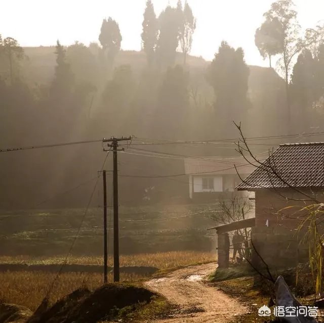 丛飞白眼狼事件原委