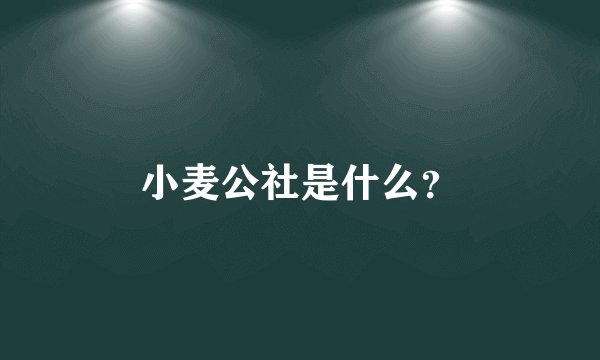 小麦公社是什么？