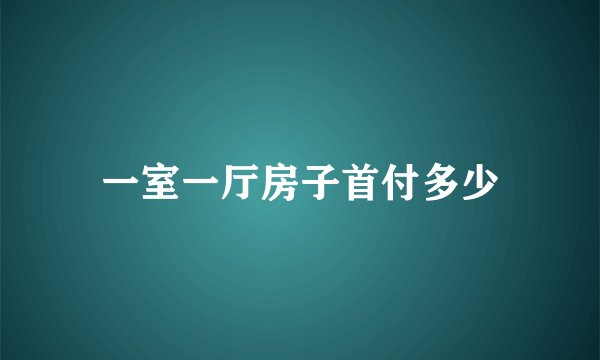 一室一厅房子首付多少