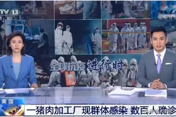 美国市场无肉可卖，为何养殖户却对猪进行安乐死，尸体堆积如山？