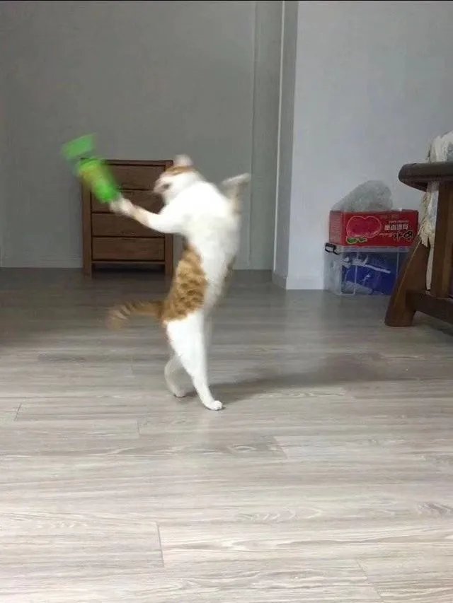 昨天“立扫把”，今天倒立上厕所？沙雕网友的脑洞有多大！