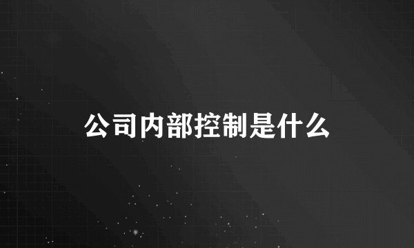 公司内部控制是什么
