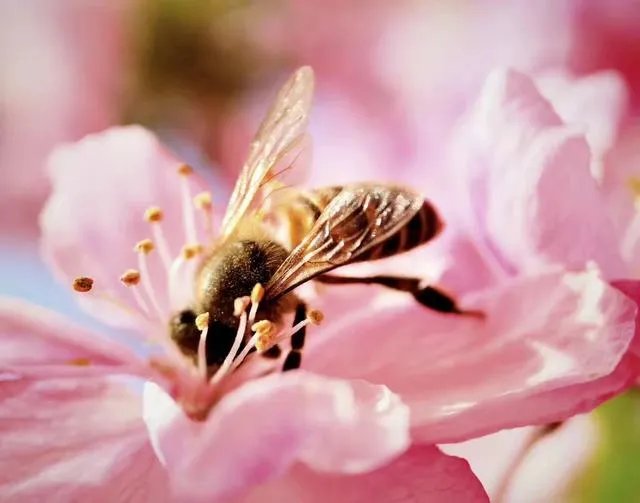 南京有哪些地方值得摄影师去拍照?