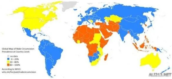 22张“惊奇数据世界地图”最爱啪啪啪的国家竟是巴西