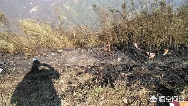 珠海凤凰山景区环境怎么样？值得一游吗？