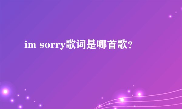 im sorry歌词是哪首歌？