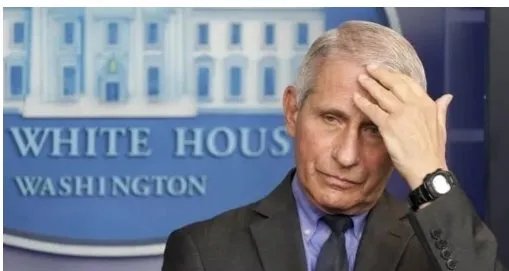 突发！福奇新冠病毒检测结果呈阳性，他是如何被感染的？