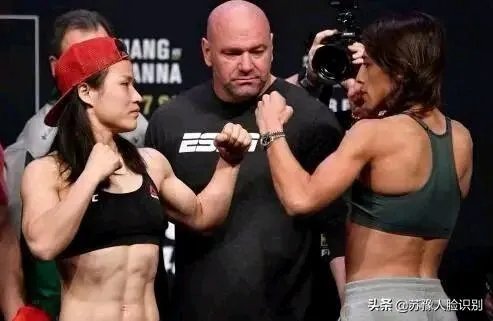 张伟丽和邹市明在各自领域的巅峰时期，谁的影响力更大？谁收入更多？